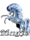 Magic