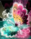 Butterfly - background