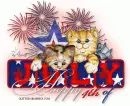 4th of july