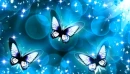 blue butterfly
