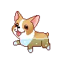Swimming dog