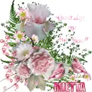 FIRST NAMES-MIETTA