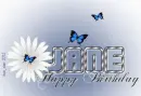 Jane - Butterflies - Birthday - Blue