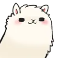 Cute llama 9
