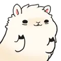 Cute llama 12