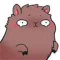 Cute llama 13
