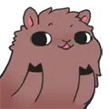 Llama #16