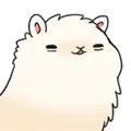 Llama