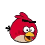 Angry bird