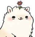 Llama