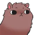 Llama