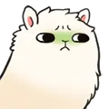 Llama