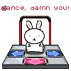 Bunny Dance