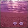 hearts on the beach