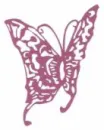 Pink Butterfly
