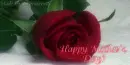 Happy Mother's Day
