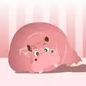 pinky 