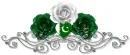 Pakistan love Divider