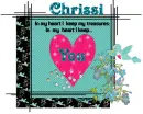 Humming Bird- Chrissi