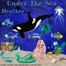 under the sea