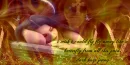 fly fly aways -  dark hugs jenny