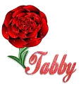 Tabby