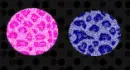 Polka dot glitter background