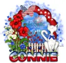 Connie-Purrrfect 4th of July