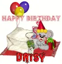 daisy