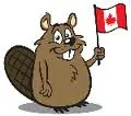 Canadian beaver