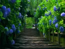 Beautiful nature