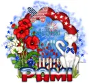 Pami-Purrrfect 4th of July