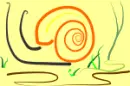 snail