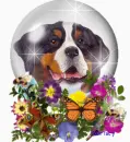 Dog and flowers globe