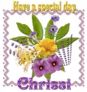 Flower in purple frame- Chrissi