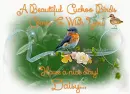 A Birds come to wish you have a nice day Daisy