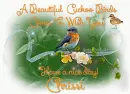 A Birds come to wish you have a nice day Chrissi