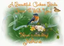 A Birds come to wish you have a nice day Norine