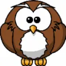 A cute cartoon owl