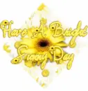 Bright Sunny Day