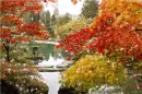 Autumn / Fall - background