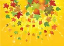 Autumn / Fall - background - aut