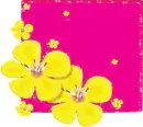 Flowers - Background