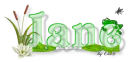 Jane