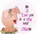 Mel - Elephant - Love