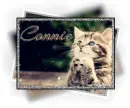 connie