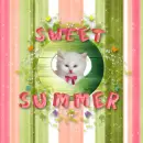 Sweet Summer Background
