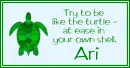 At Ease Turtle - Ari