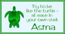 At Ease Turtle - Asma