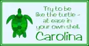 At Ease Turtle - Carolina
